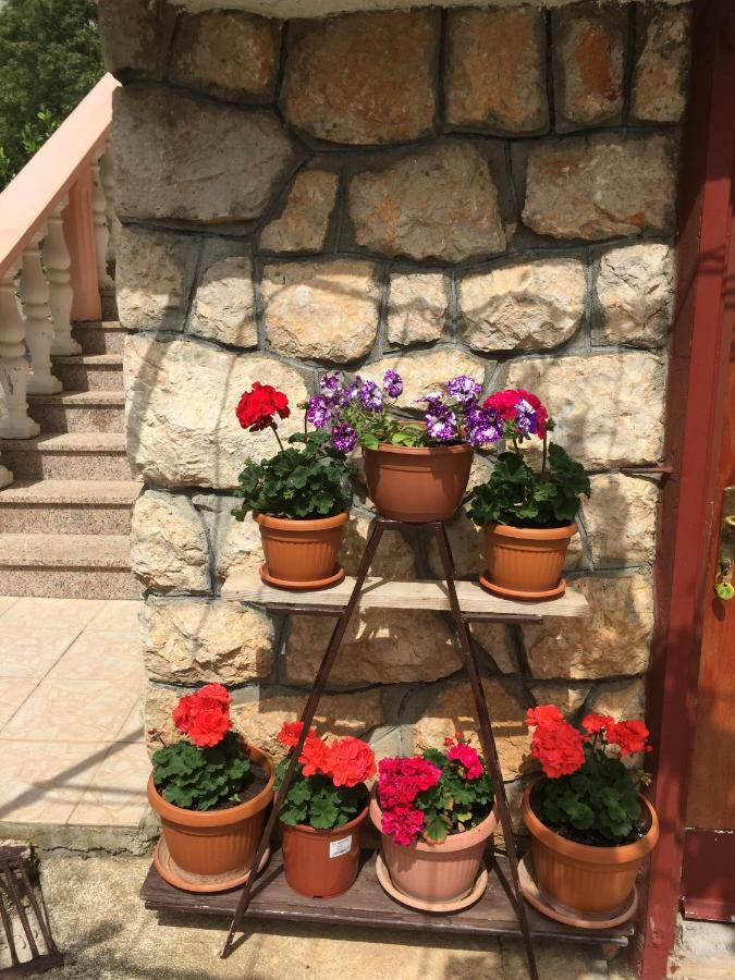 Apartment Ante And Dijana Starigrad Paklenica Exterior foto